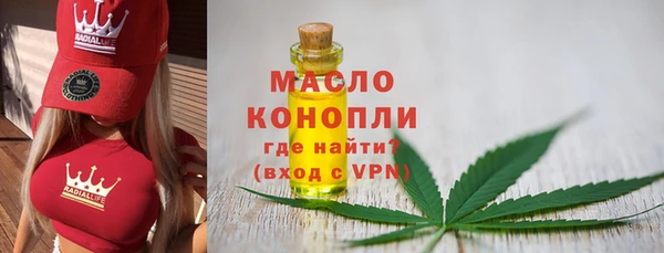 гидра Арсеньев