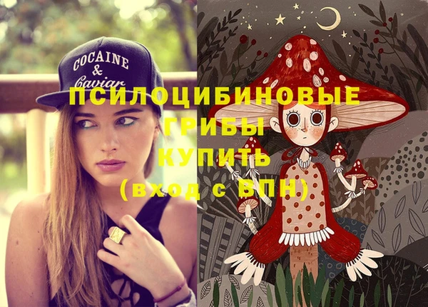 ГАЛЛЮЦИНОГЕННЫЕ ГРИБЫ Аркадак