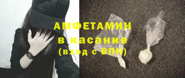 гидра Арсеньев