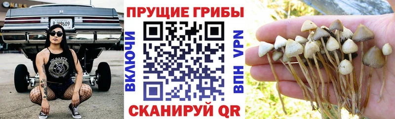 Псилоцибиновые грибы Magic Shrooms  мега ССЫЛКА  Лиски  купить  сайты 